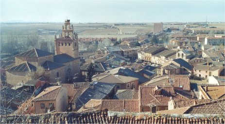 PANOR&Aacute;MICA DESDE EL CASTILLO